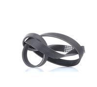 Bosch 6PK1230 - Cinghia trapezoidale a nervature - 1987947885