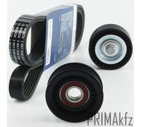 Bosch 6PK1890 Cinghia Scanalata + Galoppino Puleggia per Ford Focus 1.4 1.6