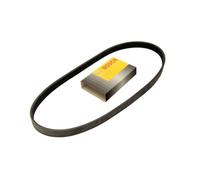 BOSCH 1 987 947 939 Cinghia servizi per VW POLO (9N) POLO (6N2) Lupo (6X1, 6E1)