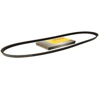 Bosch 7PK1930 - Cinghia trapezoidale a nervature - 1987948320