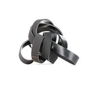 Bosch 7PK2418 - Cinghia trapezoidale a nervature - 1987946263