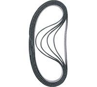 Bosch Accessories 10x Nastri abrasivi Expert N470, per Lamiere di acciaio, 40x760 mm, Grana Fine, accessorio Levigatrice a nastro