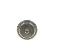 Accumulatore di pressione carburante 0 438 170 055 BOSCH per MERCEDES-BENZ PUCH