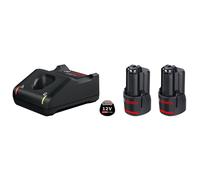 BOSCH BASIS STARTER kit con 2 batterie da 2.0Ah + GAL 12V-40 MOD. 1600A019R8