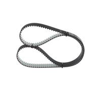 BOSCH Cinghia dentata AUDI VW SEAT 2,0 03L109119A 03L109119D 03L109119F
