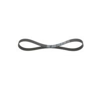 Bosch Cinghia Poly-V 1 987 946 011 per Renault, Peugeot, Citroën, Toyota, Opel, Volvo
