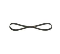 BOSCH Cinghia Poly-V 1987946020 | Compatibile con: BMW 1, 1, 3, 3 Touring, FIAT PALIO Weekend, PUNTO, PUNTO Van, STRADA Pick-up, HONDA CIVIC VII Coupe, FR-V