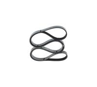 Bosch Cinghia Scanalata Galoppino per Opel Astra G Corsa D Vectra C 1.6 1.8