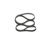 Bosch Cinghia Poly-V 1 987 946 262 – Originale per Mercedes-Benz