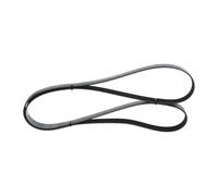BOSCH Cinghia Poly-V 1987946283
