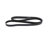 BOSCH Cinghia Poly-V 1987946285