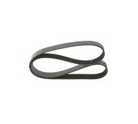 BOSCH Cinghia Poly-V 1987947047 Compatibile con: MAZDA 6 Hatchback, 6 Kombi, 6 Stufenheck, MPV II