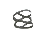 BOSCH Cinghia Poly-V 1987947059