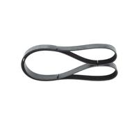 BOSCH Cinghia Poly-V 1987947090