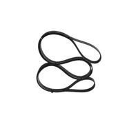 BOSCH 1 987 947 558 Cinghia servizi