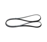 Cinghia Poly-V BOSCH 1 987 947 565
