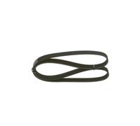 BOSCH Cinghia Poly-V 1987947945 Compatibile con: BMW 1, 1, 2 Cabriolet, 2 Coupe, 3, 3 Touring, 4 Coupe, 4 Gran Coupe, CITROËN BERLINGO/BERLINGO FIRST Großraumlimousine (MF_, GJK_, GFK_