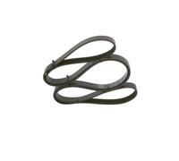 Cinghia Poly-V BOSCH 1 987 947 956