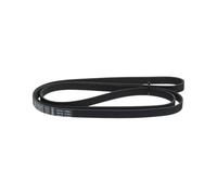 BOSCH Cinghia Poly-V 1987948331