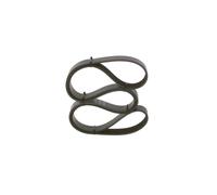BOSCH Cinghia Poly-V AUDI VW VOLVO 2,0 1,9 022145933AG 03G903137E 1102826