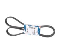 BOSCH Cinghia Poly-V BMW 3,0 11287808106