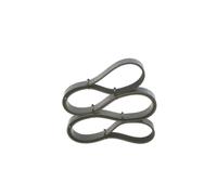 BOSCH Cinghia Poly-V BMW OPEL VAUXHALL 2,0 3,0 11287549643 1172000QAK 2521204501