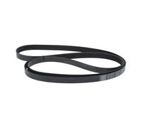 BOSCH Cinghia Poly-V FORD 2,4 YC1E6C301BB YC1E6C301DB 1129182