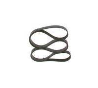 BOSCH Cinghia Poly-V MERCEDES-BENZ 1,8 1,6 A0139977392 0139977392