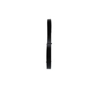 BOSCH Cinghia Poly-V MERCEDES-BENZ 3,0 A0029935096 0029935096