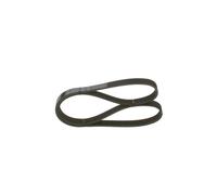 BOSCH Cinghia Poly-V per IVECO VW RENAULT TRUCKS 2,8 2,0 028903137AS 06F260849L
