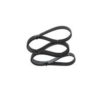 BOSCH Cinghia Poly-V per RENAULT DAF NISSAN 2,0 12,6 11720JG70B 119200054R