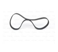 BOSCH Cinghia Scanalata 1 987 945 504