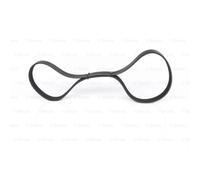 BOSCH Cinghia Scanalata 1 987 947 373