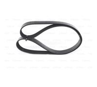 BOSCH Cinghia Scanalata 1 987 947 379
