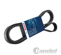 BOSCH Cinghia Scanalata 7PK2710mm Adatto A per Ford Transit Land Rover Discovery