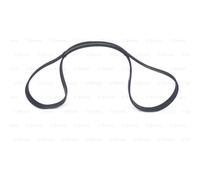 BOSCH Cinghia Scanalata Adatto A per Audi A8 4.2 Quattro 3.7 6.3 W12 VW Phaeton