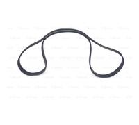 BOSCH Cinghia Scanalata Adatto A per Ford Transit Pritsche/Telaio Bus