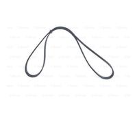 BOSCH Cinghia Scanalata Adatto A per Mazda Premacy 626 V Hatchback Rover 200 25