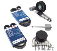 Bosch Cinghia Scanalata + Tendicinghia per Audi A4 A6 VW Bora Golf IV Passat