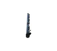BOSCH Collettore di distribuzione Carburante BMW 3,0 13537805423
