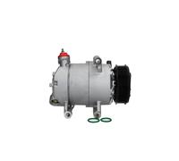 BOSCH Compressore climatizzatore FORD LAND ROVER 2,2 1016001041 LR007069 1433332