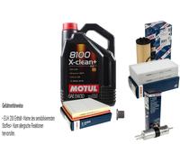 Bosch Controllo Set 5 L Motul 8100 x-Pulire+5W-30 per Mini Cooper John