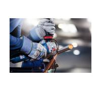 Bosch Disco da taglio dritto Best for Inox - Rapido A 60 W Inox BF, 125mm, 22,23mm, 0,8 Quantità:25