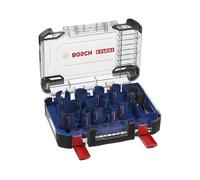 Bosch Esperto Multi Materiale PC Plus Sega Set 15 Pezzi Inscatolato BPA608900489
