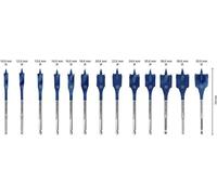 Bosch Expert SelfCut Speed - testa di fresatura - per legno tenero legno duro - punta Forstner - piatta - 13 pezzi - Brugola NEW