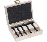 Bosch Expert Wood Forstner - Set di 5 punte per trapano (per legno tenero, legno duro, Ø 15,0, 20,0, 25,0, 30,0, 35,0 mm, accessori professionali, trapano, cacciavite)
