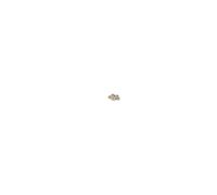 BOSCH F 00R J04 662 Rondella d'appoggio