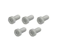 Vite, pompa common rail BOSCH F 01M 100 684, 5 Pezzo