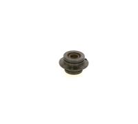 BOSCH F01M101214 Bosch Diesel Ric