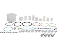 Elementi della pompa CR BOSCH DIESEL F 01M 102 389